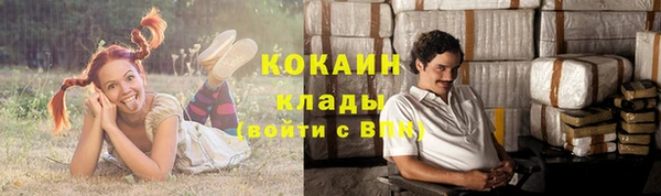 mdpv Козельск