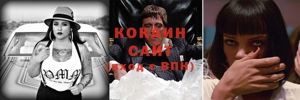 стаф Аркадак