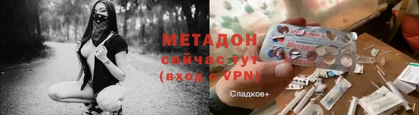 стаф Аркадак