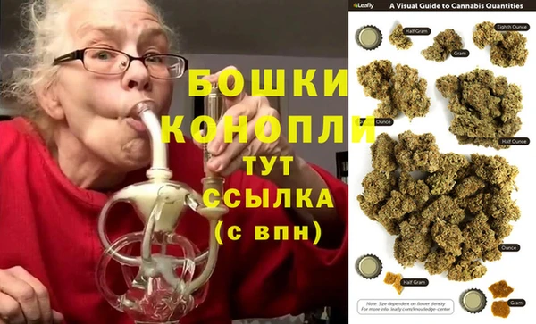 стаф Аркадак