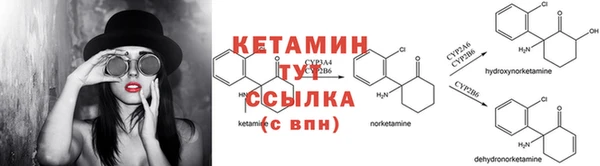 стаф Аркадак