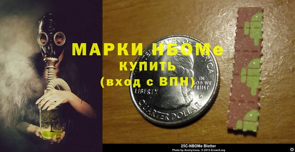 стаф Аркадак