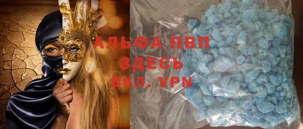стаф Аркадак