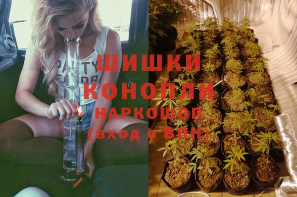 герыч Арсеньев