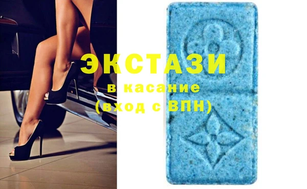 стаф Аркадак