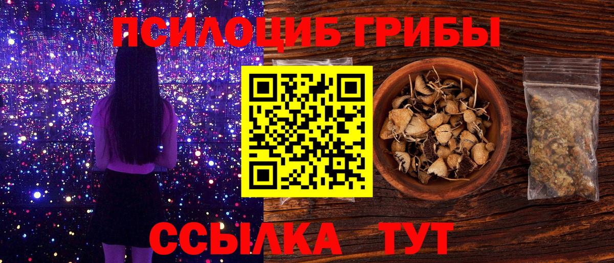 Псилоцибиновые грибы MAGIC MUSHROOMS  Вход с VPN  Шадринск 